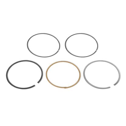 Piston Rings for HONDA GX390 Engine